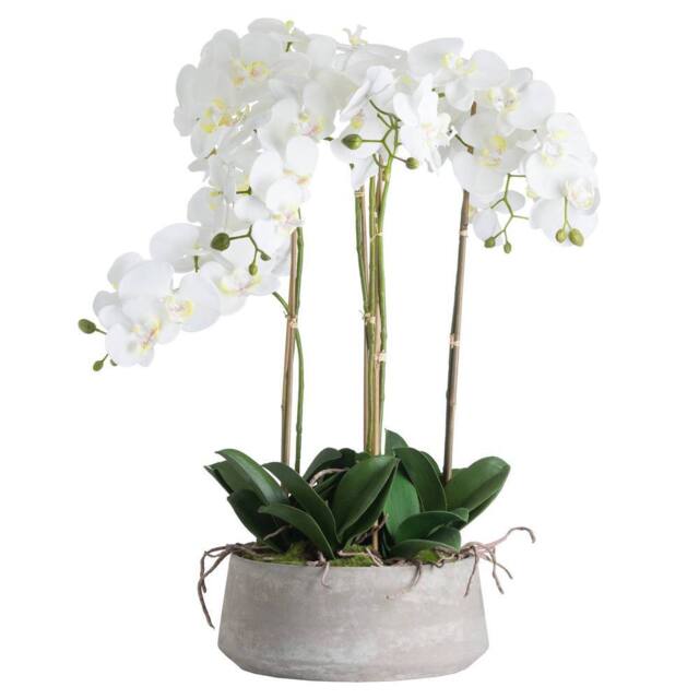 Hill Interiors Orchid In Stone Pot in White - image 1