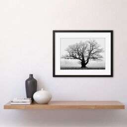 Artery8 Black & White Nature Photograph of an Old Branchy Tree in a Misty Morning Landscape Framed Wall Art Print Picture 12X16 inch - thumbnail 2