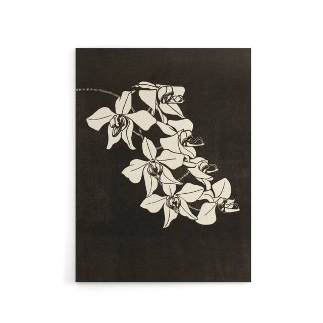 "Artery8 Black & White Orchid Flower De Mesquita Canvas Wall Art Print - Size: W18"" x H24""" - image 1