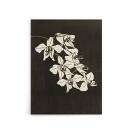 "Artery8 Black & White Orchid Flower De Mesquita Canvas Wall Art Print - Size: W18"" x H24""" - thumbnail 1