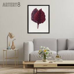 "Artery8 AF Lydon Benjamin Fawcett Red Amaranth Leaf Framed Canvas Art Print in White - Size: W12"" x H16""" - thumbnail 3