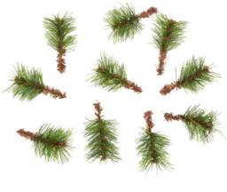 Pelle & Sol 130 Piece Christmas Crafts Realistic Pine Cones & Berry Accessory in Green - Size: 1 Pack - thumbnail 9