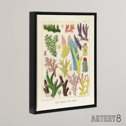 "Artery8 Great Barrier Reef Corals Marine Life Kent Framed Canvas Wall Art in Beige - Size: W12"" x H16""" - thumbnail 2