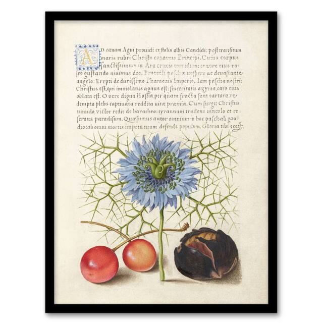 Artery8 Love in a Mist & Cherries Calligraphy Framed Wall Art Print in White - Size: A4 - image 1