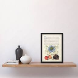 Artery8 Love in a Mist & Cherries Calligraphy Framed Wall Art Print in White - Size: A4 - thumbnail 4