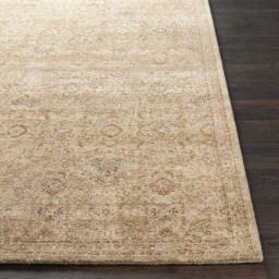 Livabliss Becki Owens Penny Vintage Beige Tan Traditional Vintage Boho Fringe Rug - Size: 160 cm x 215 cm - thumbnail 5