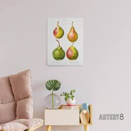 "Artery8 Pear Fruit Illustration Redoute Vintage Canvas Wall Art in White - Size: W18"" x H24""" - thumbnail 3