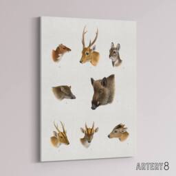 "Artery8 Wildlife Animals Vintage Illustration Lydekker Canvas Wall Art in White - Size: W18"" x H24""" - thumbnail 2