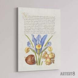 "Artery8 Iris Flower & Hazelnut Calligraphy Canvas Wall Art Print in White - Size: W12"" x H16""" - thumbnail 2