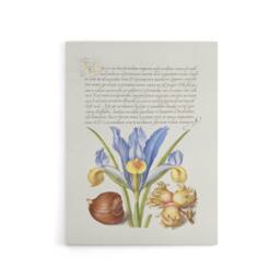 "Artery8 Iris Flower & Hazelnut Calligraphy Canvas Wall Art Print in White - Size: W12"" x H16""" - thumbnail 1