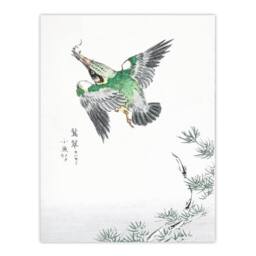 Artery8 Numata Kashu Framed Wall Art Print Kingfisher Hunting Japan - Size: A4 - thumbnail 3