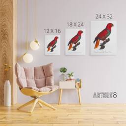 "Artery8 The Eclectus Parrot Francois Levaillant Canvas Wall Art Print in White - Size: W12"" x H16""" - thumbnail 4
