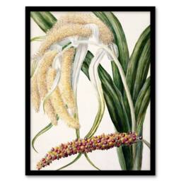 Artery8 Sarah Featon Framed Wall Art New Zealand Perching Lily Flower Plant in Beige - Size: A4 - thumbnail 1