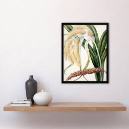 Artery8 Sarah Featon Framed Wall Art New Zealand Perching Lily Flower Plant in Beige - Size: A4 - thumbnail 2