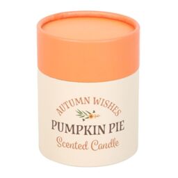 Something Different Autumn Wishes Pumpkins Candle in Orange - thumbnail 2