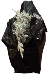 Netagon Set of 2 Seasonal Storage Bags (L) 635x1320x381 (S) 510x1220x381 in Black - thumbnail 3