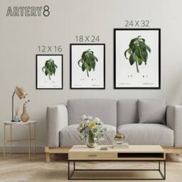 "Artery8 Spurge Laurel Botanical Redoute Vintage Black Framed Canvas Wall Art in White - Size: W12"" x H16""" - thumbnail 4
