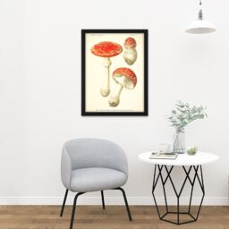 "Artery8 Wall Art Print Dufour 1891 Mushroom Atlas Fly Agaric Large Framed Wall Décor Art in Black - Size: W18"" x H24""" - thumbnail 2
