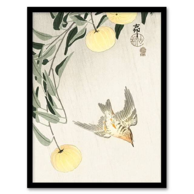 Artery8 Ohara Koson Framed Wall Art Print Cuckoo In Early Summer Rain in Yellow - Size: A4 - image 1