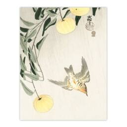 Artery8 Ohara Koson Framed Wall Art Print Cuckoo In Early Summer Rain in Yellow - Size: A4 - thumbnail 3