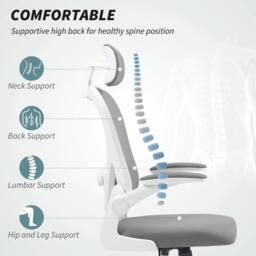 Havendro Ergonomic Mesh Office Chair with Headrest, Lumbar in Grey - thumbnail 3