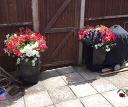Primrose Gloss Tall Flared Square Fibreglass Planter in Black 90cm x 40cm - Size: 90 cm x 40 cm - thumbnail 3