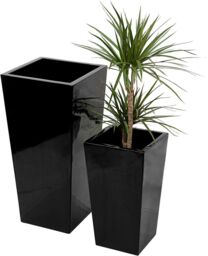 Primrose Gloss Tall Flared Square Fibreglass Planter in Black 90cm x 40cm - Size: 90 cm x 40 cm - thumbnail 6