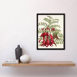 "Artery8 New Zealand Kaka Beak Plant Flowers Featon Framed Wall Art Print in Beige - Size: W12"" x H16""" - thumbnail 4