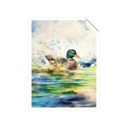 "Warren Reed - Designer Splashing Mallard Watercolour Unframed Art Print - Size: W24"" x H36""" - thumbnail 2