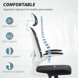 HOMCOM Executive Mesh Office Chair with Headrest, Lumbar Support in Black - thumbnail 4