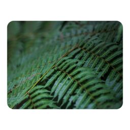 Benjamin Tate Design grren leaves pattern & texture at Indonesia Designer Blanket in Natural - Size: 120 cm x 150 cm - thumbnail 1