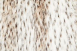 Orsina Lamina Animal Print Square Faux Fur Cushion, Luxe Leopard-Patterned Throw Pillow with Feather Filler in Natural - thumbnail 6