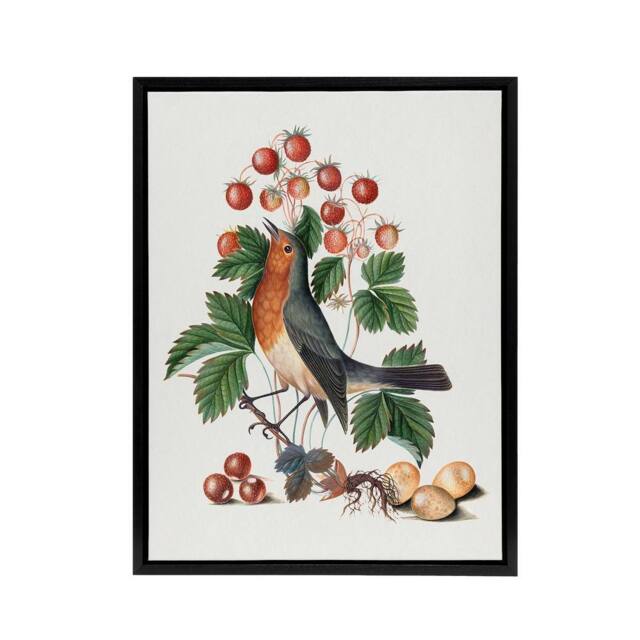 "Artery8 Robin Bird & Wild Strawberry Plant Bolton Black Framed Canvas Art in White - Size: W18"" x H24""" - image 1
