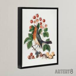 "Artery8 Robin Bird & Wild Strawberry Plant Bolton Black Framed Canvas Art in White - Size: W18"" x H24""" - thumbnail 2