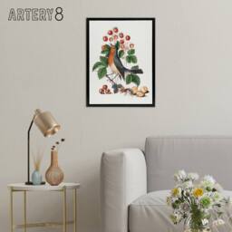 "Artery8 Robin Bird & Wild Strawberry Plant Bolton Black Framed Canvas Art in White - Size: W18"" x H24""" - thumbnail 3