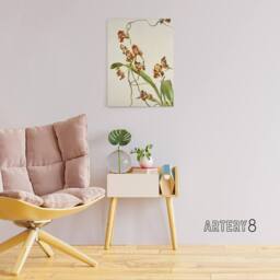 "Artery8 Frederick Sander Oncidium Superbiens Orchid Flowers Canvas Art Print - Size: W12"" x H16""" - thumbnail 3