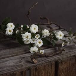 Lemon Pavilion Furniture and Decor Wild Meadow Rose Artificial Flower - L15 x W15 x H74 cm - White - thumbnail 3