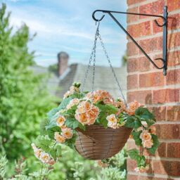 mysmartbuy Artificial Begonia Flower Regal Hanging Basket with Metal Chain in Orange - thumbnail 2