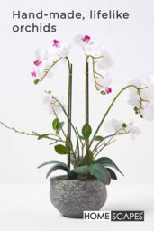 Homescapes Luxury Artificial Orchid in Pot, 5 Stems, 52 cm, White - thumbnail 2