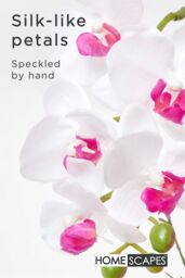 Homescapes Luxury Artificial Orchid in Pot, 5 Stems, 52 cm, White - thumbnail 3