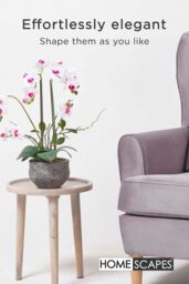 Homescapes Luxury Artificial Orchid in Pot, 5 Stems, 52 cm, White - thumbnail 6