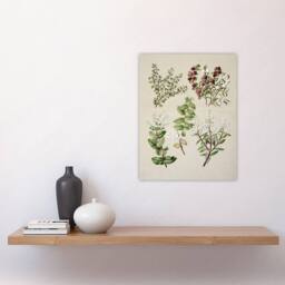 "Artery8 New Zealand Gaultheria Flowering Plant Featon Wall Art Poster Print in Beige - Size: W18"" x H24""" - thumbnail 4