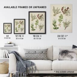 "Artery8 New Zealand Gaultheria Flowering Plant Featon Wall Art Poster Print in Beige - Size: W18"" x H24""" - thumbnail 3
