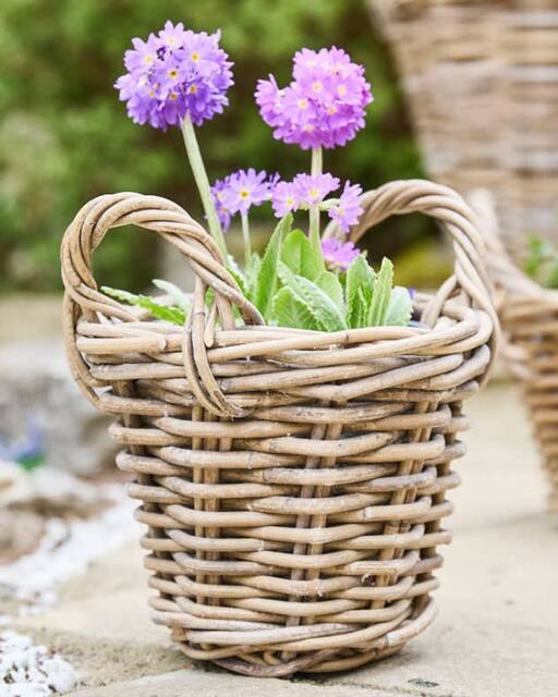 Dibor Traditional Lined XXS Wicker Planter Basket with Handles in Grey - Size: Small - image 1