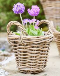 Dibor Traditional Lined XXS Wicker Planter Basket with Handles in Grey - Size: Small - thumbnail 1