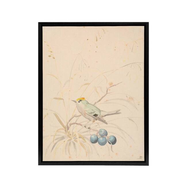 "Artery8 PC Skovgaard Kingbird on a Meadow Branch Framed Canvas Wall Art Print in Beige - Size: W12"" x H16""" - image 1