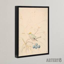 "Artery8 PC Skovgaard Kingbird on a Meadow Branch Framed Canvas Wall Art Print in Beige - Size: W12"" x H16""" - thumbnail 2