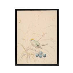 "Artery8 PC Skovgaard Kingbird on a Meadow Branch Framed Canvas Wall Art Print in Beige - Size: W12"" x H16""" - thumbnail 1