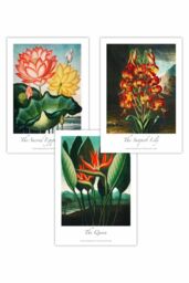 ARTZE Set of 3 Vintage Tropical Flowers Botanical Art Posters in Green - Size: W50 cm x H70 cm - thumbnail 1