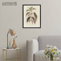 "Artery8 Vintage Botanical Rose Mallow Fawcett Black Framed Canvas Art Print in Beige - Size: W12"" x H16""" - thumbnail 3